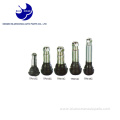 Trustworthy suppliers A-Cap car tubeless tire valves